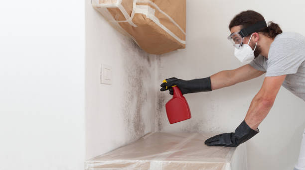 Professional Bathroom Mold Removal technician working in Christiana, TN